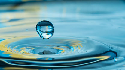 A water droplet into water, slight ripples have formed on the surface of the water.