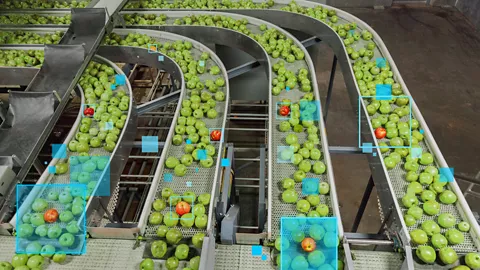 生鮮處理廠內四台擺滿青蘋果分類輸送帶的特寫。畫面中的藍色方塊框出一些紅蘋果，代表用於辨識異常的電腦視覺型分析輸出