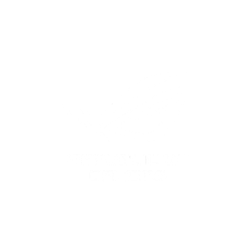 ASUS Store ROG logo