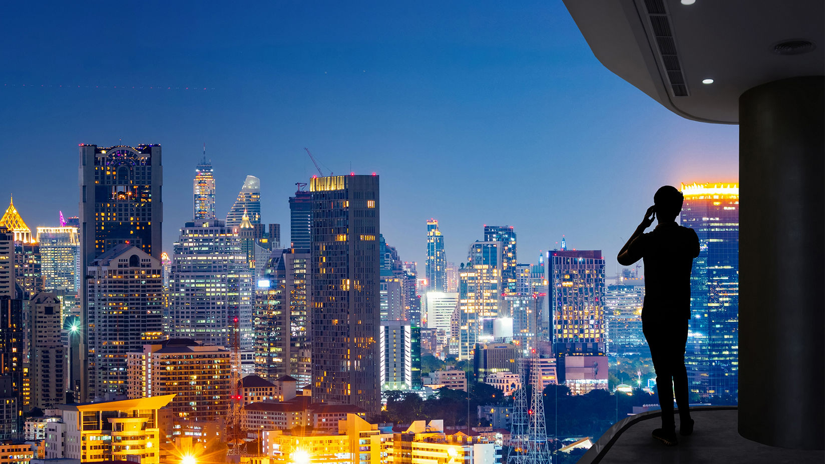 Person overlooking a nighttime cityscape while using a cell phone
