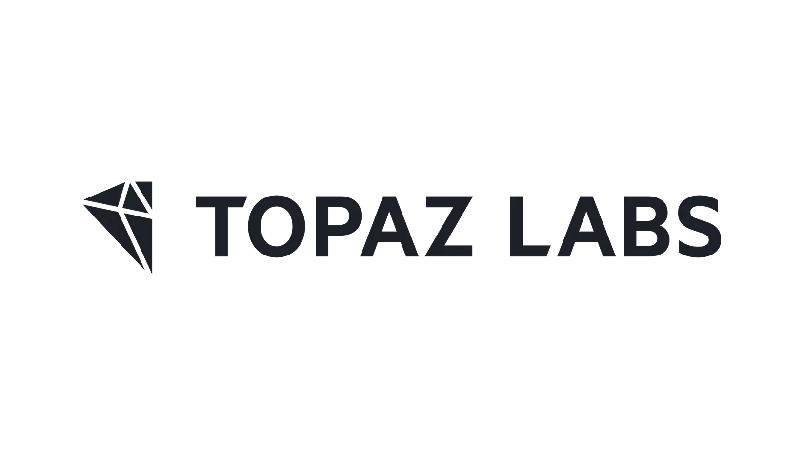 Topaz Labs 로고
