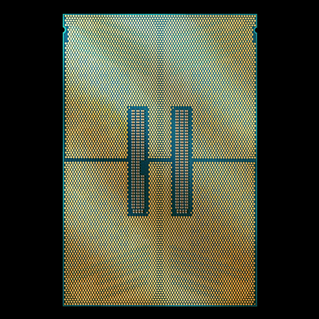 DSCF8478-Chip-Back-High-Res-16x9