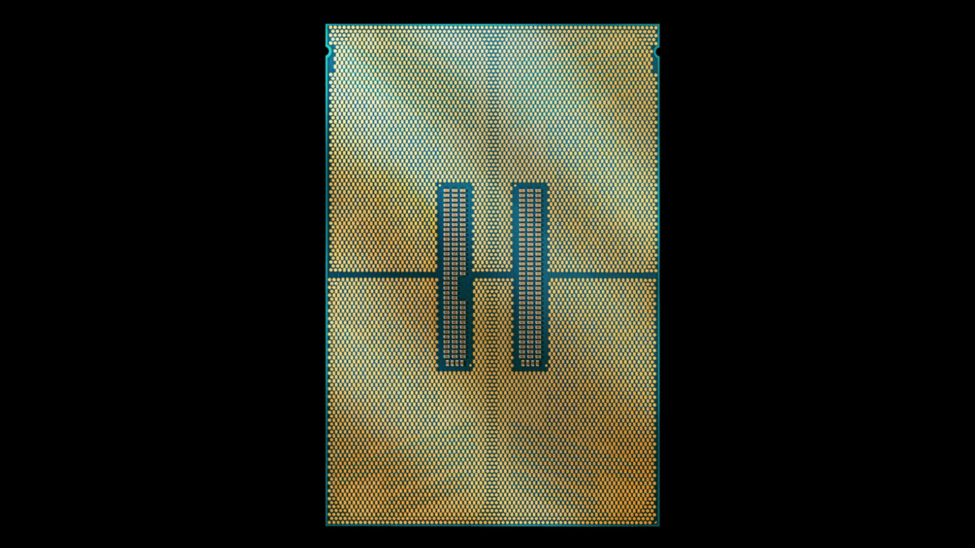DSCF8478-Chip-Back-High-Res-16x9