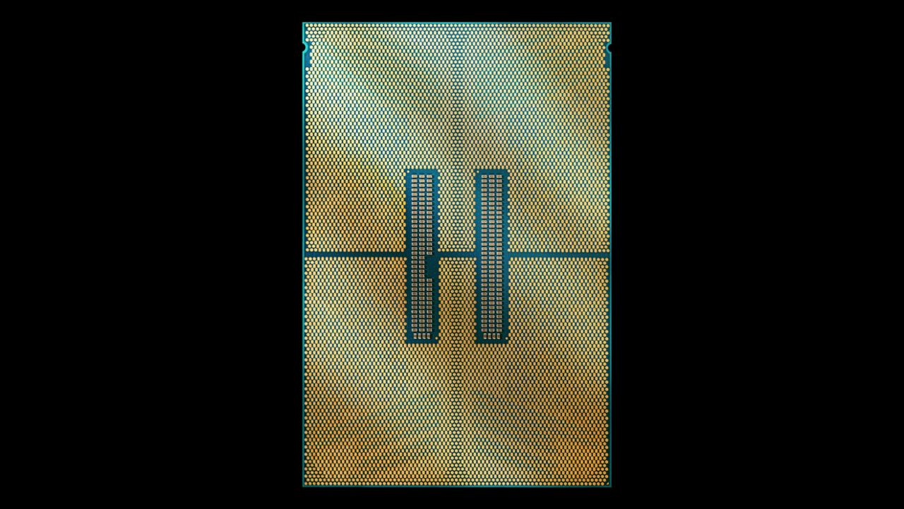 DSCF8478-Chip-Back-High-Res-16x9