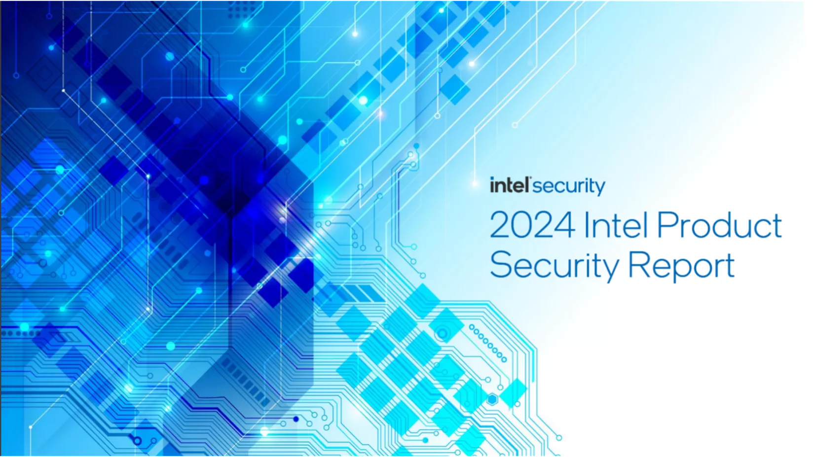 software security guidance