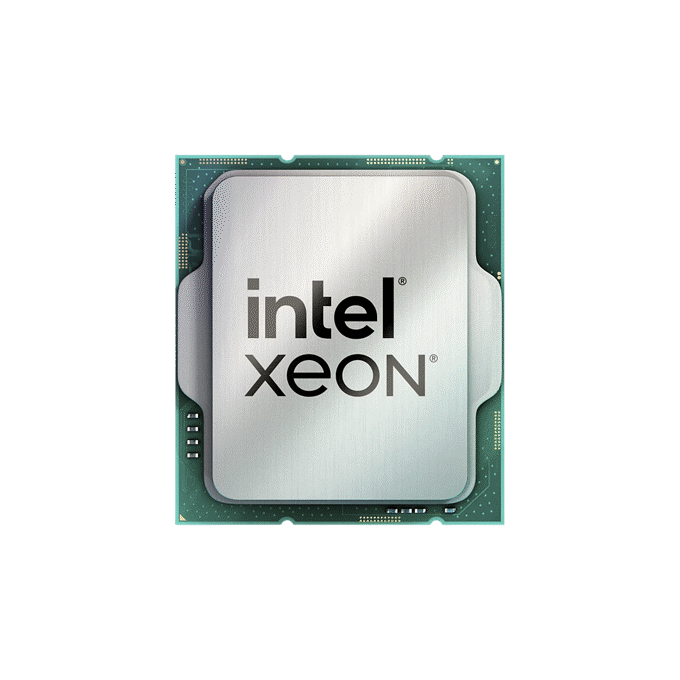 Intel Xeon processor with tabs on the sides