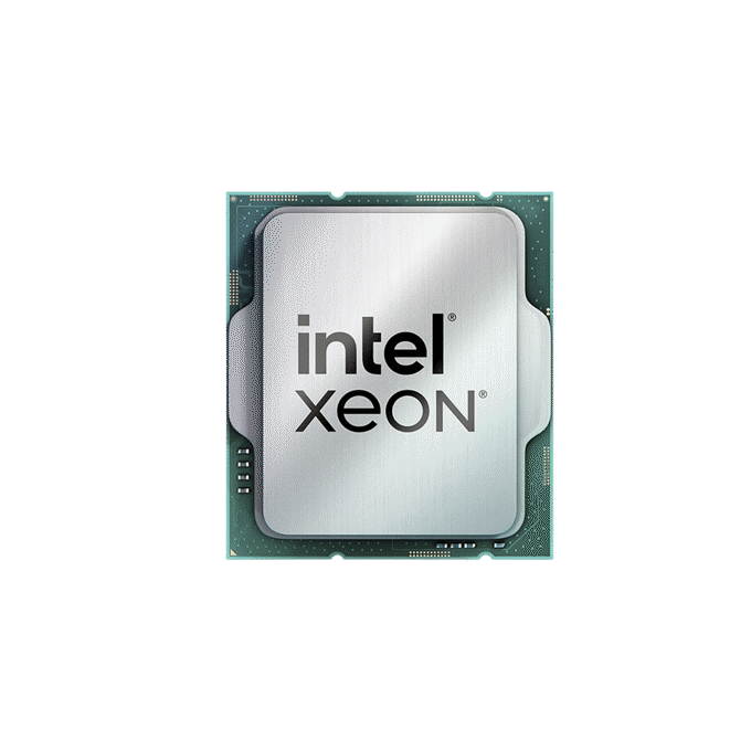 Xeon® processor with tabs on sides product photo