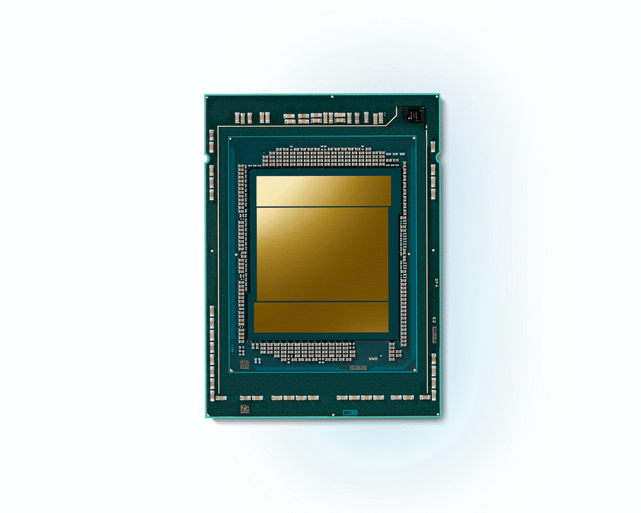 Processor chip with exposed die and circuitry