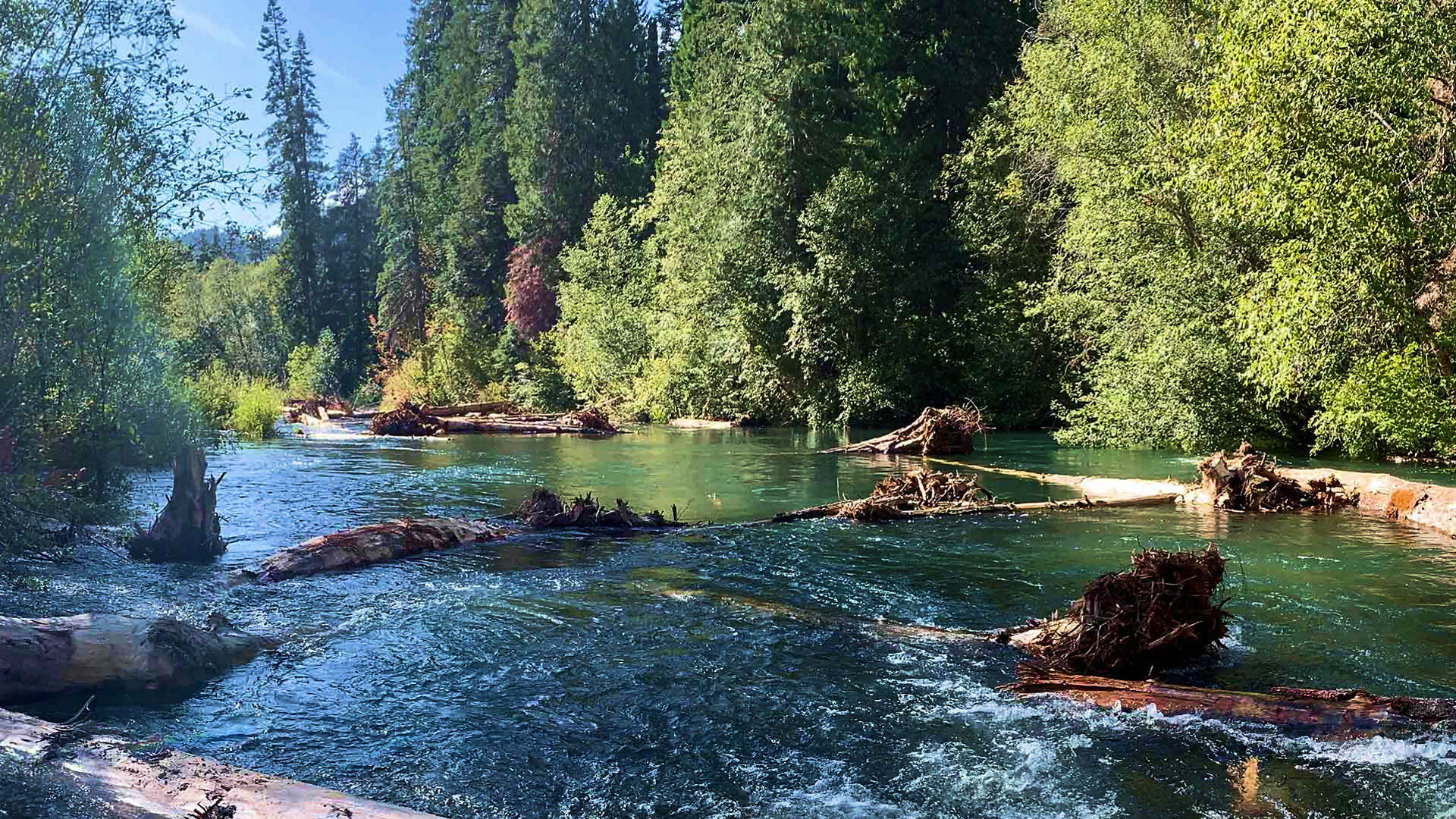 A river flowing over rocks