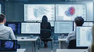 Fotografía de empleados mirando pantallas y monitores de computadora