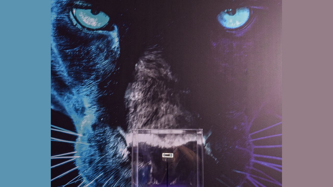 展示Intel 18A Panther Lake處理器平台的展區。