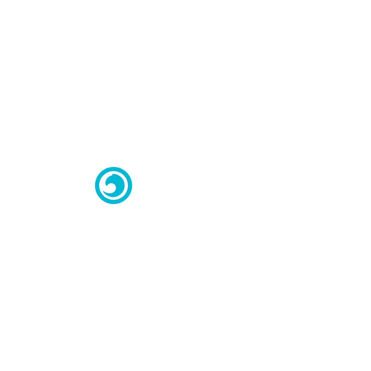 VNC Lagoon logo